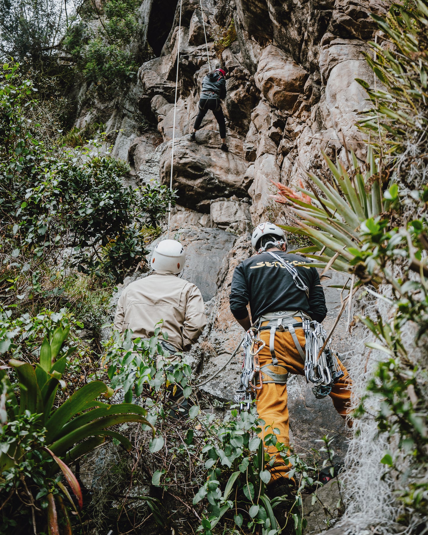 BASIC CLIMBING COURSE